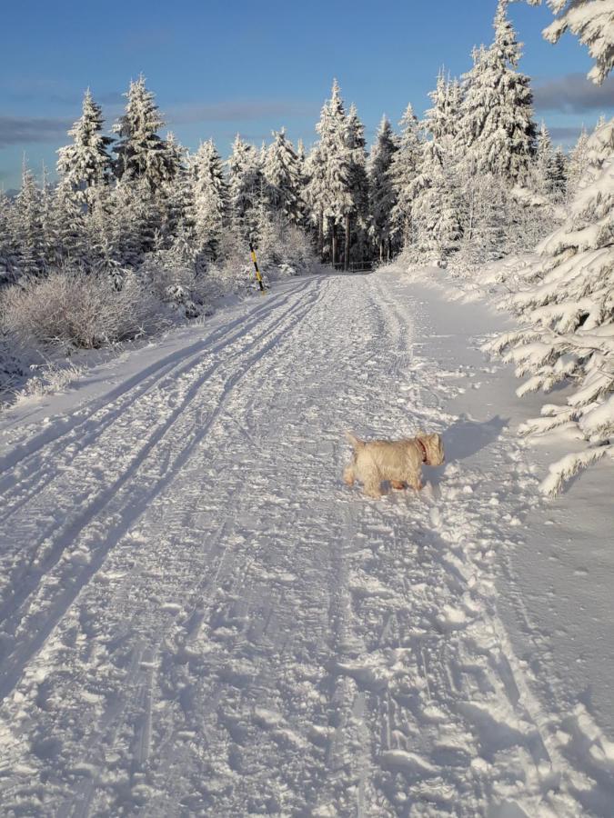 Ferienwohnungen "Am Schloessel" Oberwiesenthal Buitenkant foto